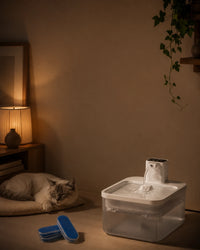 Fontaine DownyPaws 2,5 L propre avec filtres de rechange