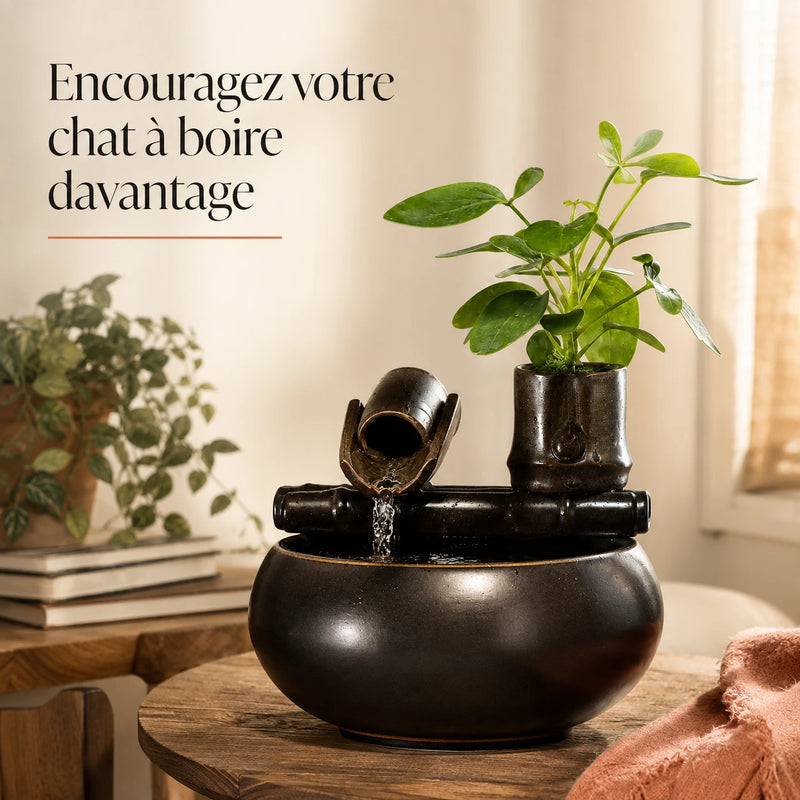 Fontaine à eau en céramique avec bec bambou et plante verticale pour chat