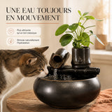 Une eau toujours en mouvement, plus attirante qu'un bol