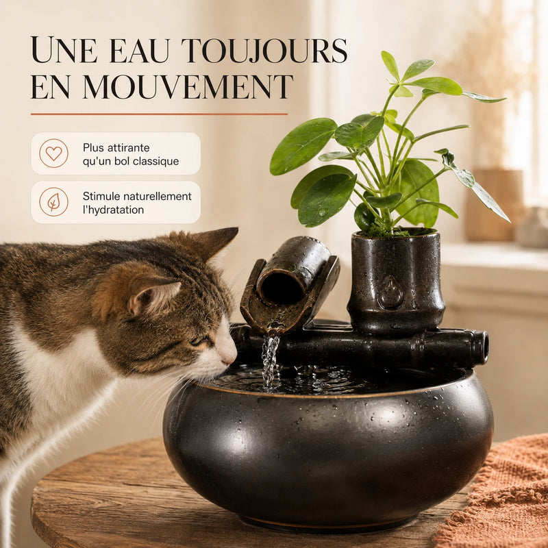 Une eau toujours en mouvement, plus attirante qu'un bol