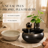 Une eau plus propre et plus fraîche, brassée et oxygénée