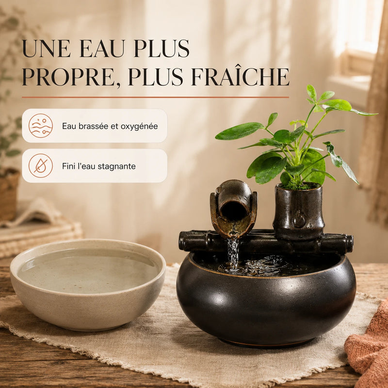 Une eau plus propre et plus fraîche, brassée et oxygénée