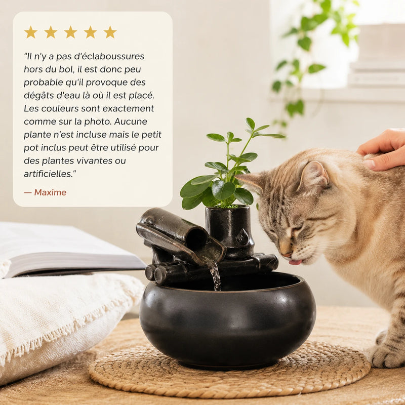 Avis client - chat qui boit à la fontaine
