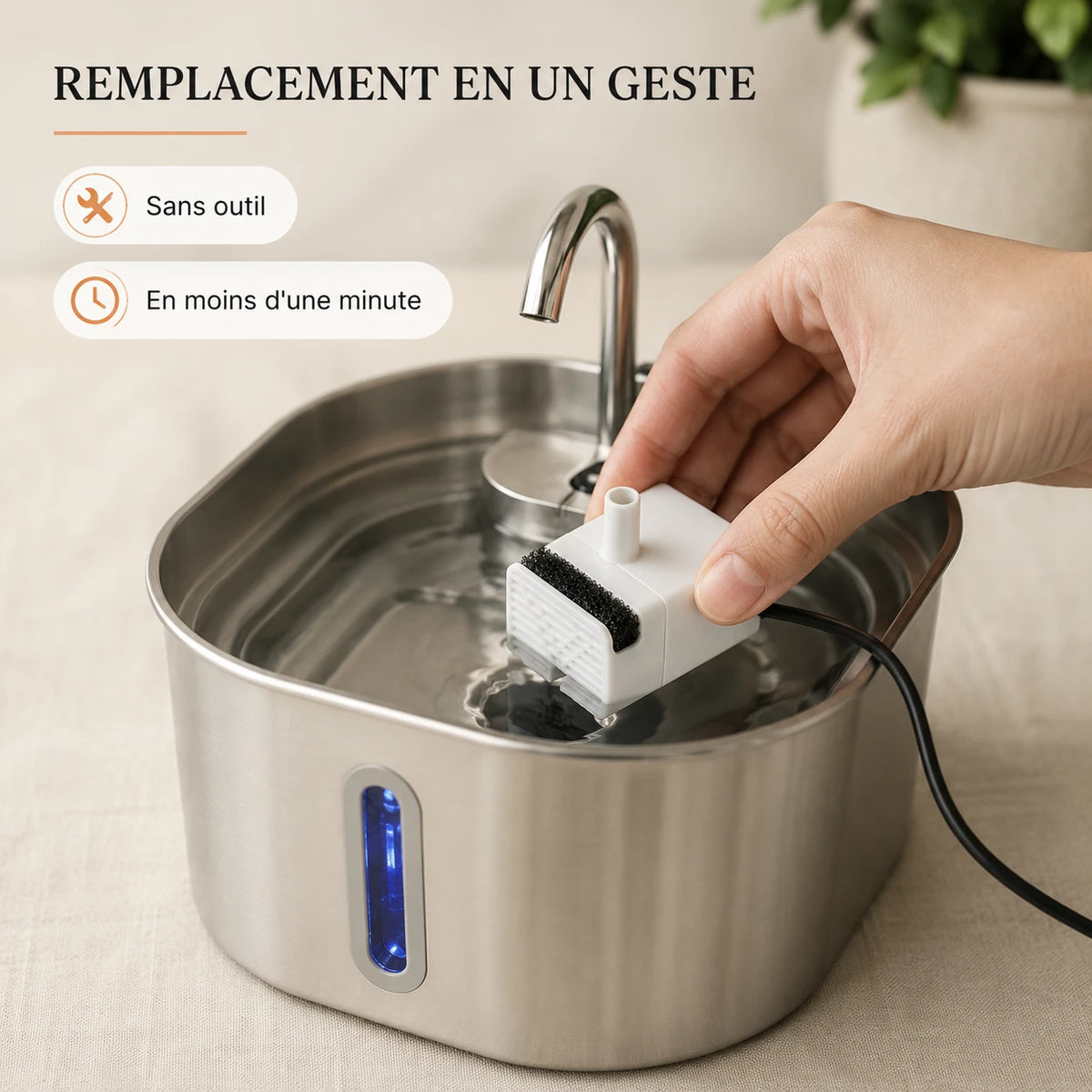 Remplacement de la pompe dans la fontaine a chat
