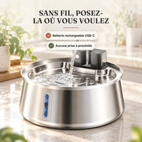 Fontaine chat sans fil rechargeable USB-C 4 L, sans prise à proximité