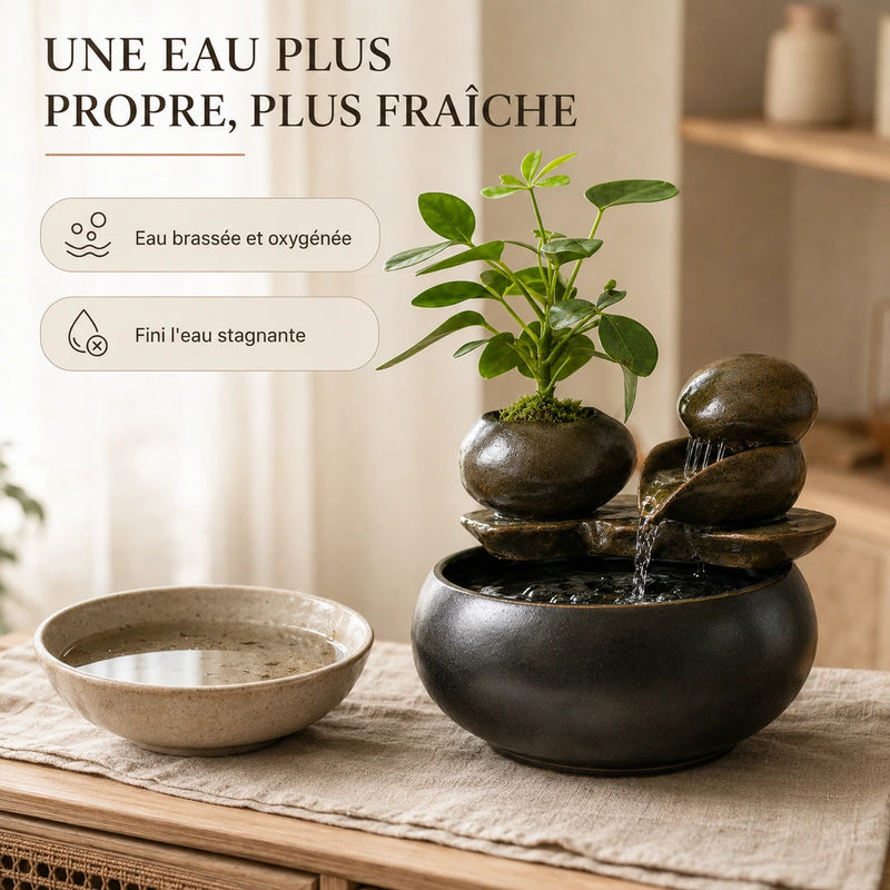 Une eau plus propre et plus fraîche, brassée et oxygénée