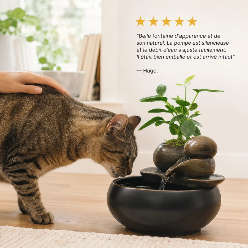 Avis client - chat qui boit à la fontaine