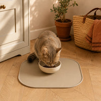 Chat sur le tapis anti-gaspillage beige