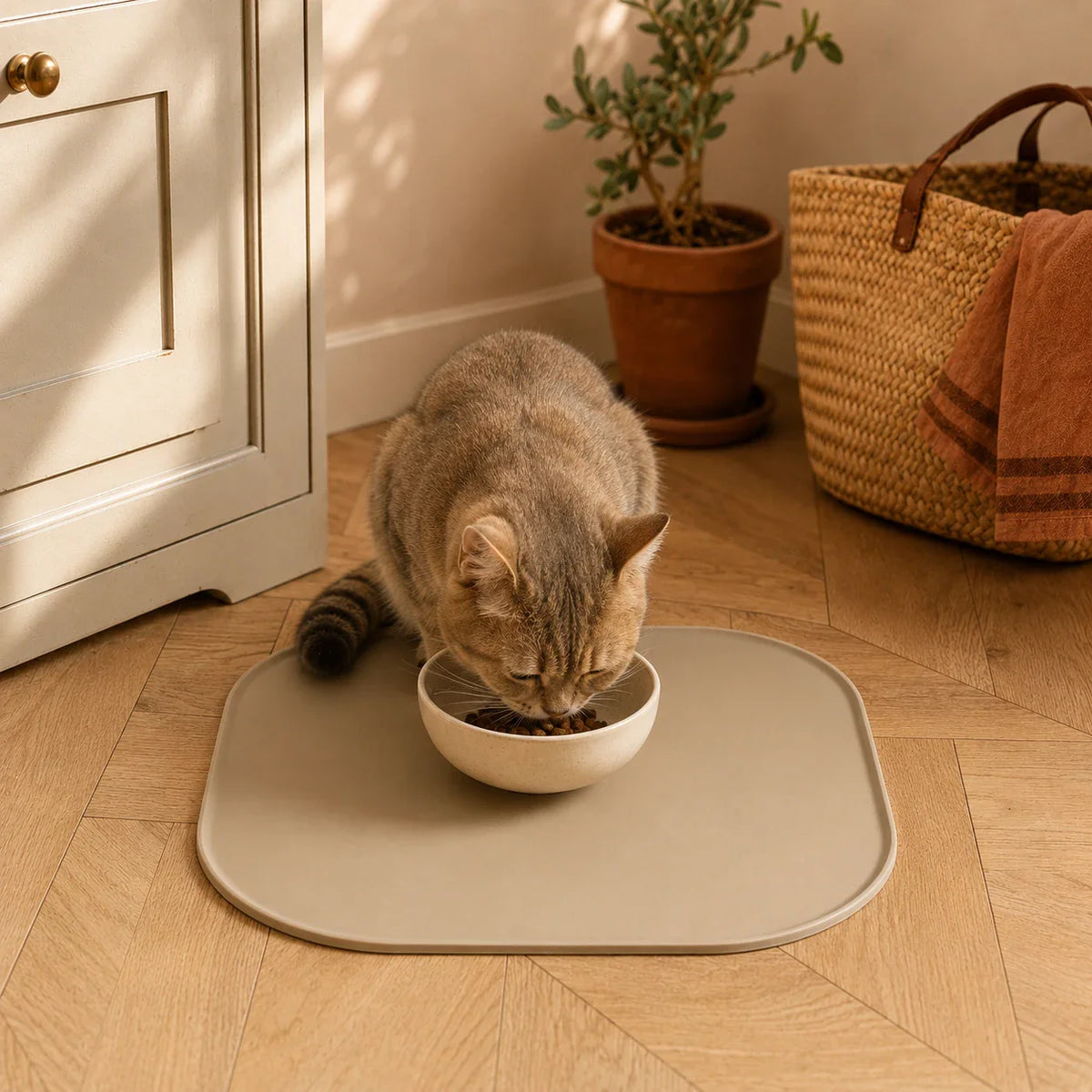 Chat sur le tapis anti-gaspillage